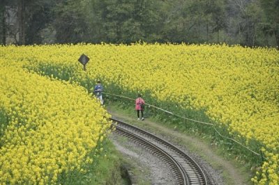 ​四川犍为：春日小火车带动农文旅融合发展
