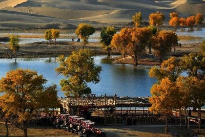 ​罗布人村寨 国家4A级 40元