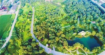 ​邢台森林公园：生态屏障城市绿肺