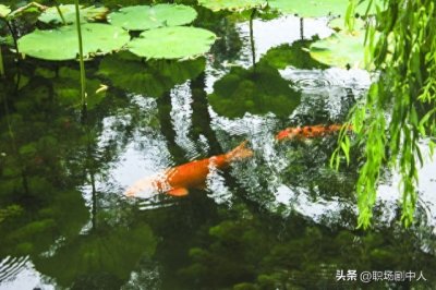 ​中小学必背古诗词，汉乐府《江南》解析欣赏 ，一年级必学古诗