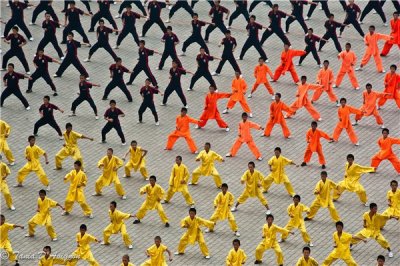 ​少林寺武校最新招生条件即要求