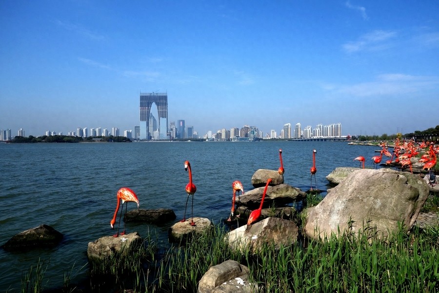 苏州地标之--东方之门