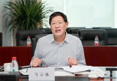 ​67岁马宗林，被查