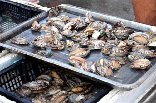 早市上赚钱最多的几个小生意 购买的顾客多 人人看了都想做