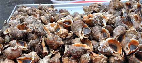 早市上赚钱最多的几个小生意 购买的顾客多 人人看了都想做