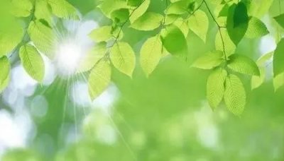 ​“钱多多”骗了大庆众多投资人 我省一高速发生车祸 乘车人坠河