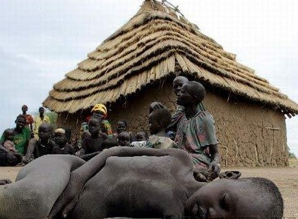 非洲贫困地区饱受摧残的孩子们,有时牛粪也能成为他们的食物