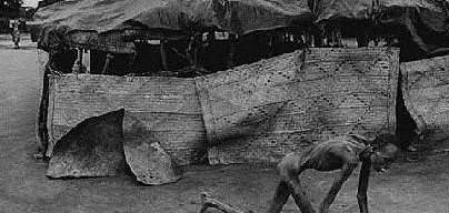 非洲贫困地区饱受摧残的孩子们,有时牛粪也能成为他们的食物