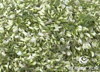 ​解锁槐花新吃法 每一口都是春天的味道!