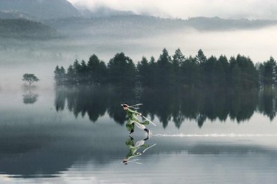 ​小说：穿越倚天世界在襄阳城外得到杨过的传承