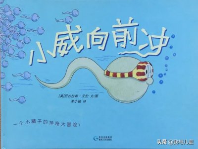 ​绘本推荐 |《小威向前冲》让孩子知道自己怎么来到这个世界上的