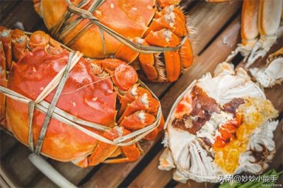 ​如何区分大闸蟹公母呢?