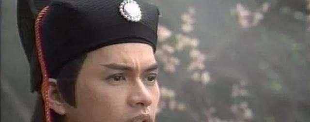 扮演展昭的九个演员都是男性神，颜值高于何家劲