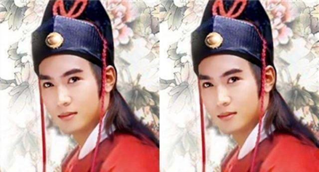 扮演展昭的九个演员都是男性神，颜值高于何家劲