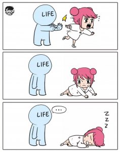 ​刘銮雄老婆甘比是谁（从小小娱记到刘銮雄最后一个女人，甘比凭啥击败吕丽君拿