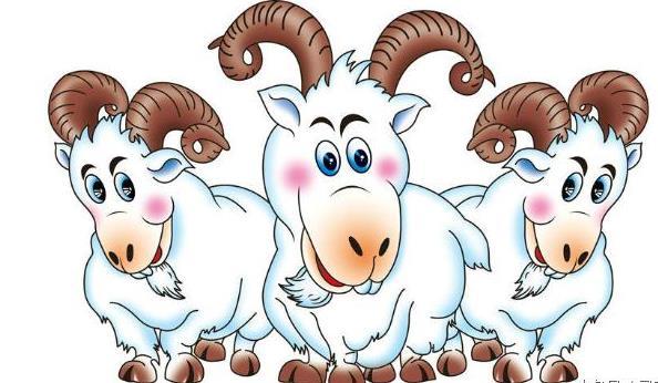 董洁属什么生肖(董璇属什么生肖)  第4张