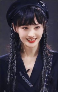 ​郑爽联合国大会的照片（郑爽在联合国大会发言）