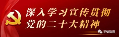 ​灵璧县第二中学举行高考百日誓师会