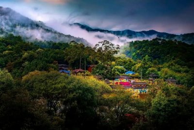 ​闽南西双版纳－－厦门金光湖风景区