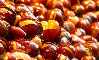 ​天津糖炒栗子，皮脆易剥，香甜可口，是秋冬季时令风味食品
