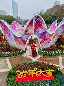 ​新春第一波开放的郁金香，就在中山公园