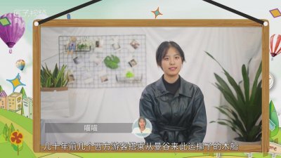 ​苏梅岛是哪里的 苏梅是哪个国家地方