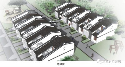 ​带庭院中式二层农村自建房，造价仅10万，你信吗？