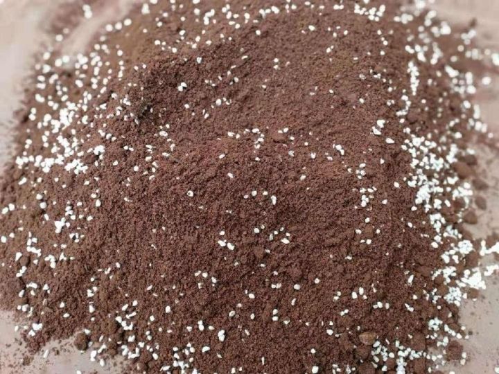 澳洲石斛图片（澳洲香水石斛的养殖方法和注意事项）