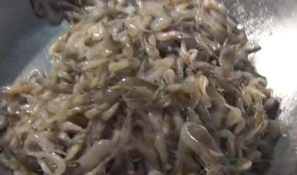 草虾怎么做好吃,草虾虾仁怎么做好吃图8