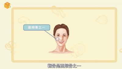 ​颧骨是哪里