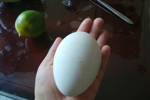 一天一个鹅蛋好吗孕妇