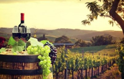 ​红酒 品种 价位(红酒分为几个品种)