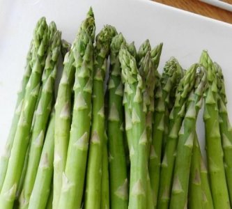 ​芦笋是什么，芦笋红根是什么病？