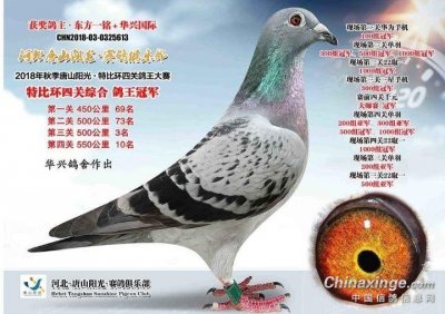 ​唐山阳光 十冠王