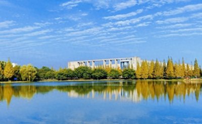 ​人事代理属于事业单位编制吗？