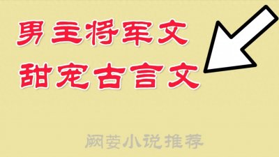 ​11本完结男主将军文，甜宠文，他是一方枭雄，却甘愿为美人折腰