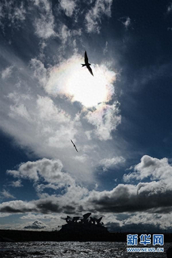 青海一条鱼：从濒临灭绝到鱼翔浅底