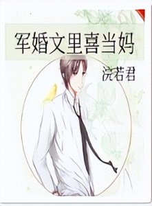 ​强推2本已完结军婚文：军婚100分首席强势宠 | 军婚文里喜当妈