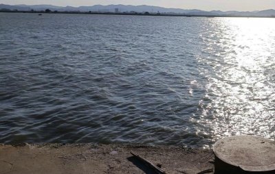 ​小伙晚上钓到“怪鱼”，不认识给放生了，好友：不识货放走几百块