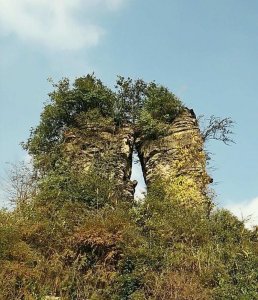 ​遵义汇川：神奇秘境仙人山