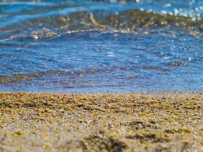 ​琉球群岛被日本非法侵占，蒋为何放弃收复的大好时机？