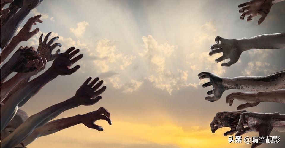 好看的丧尸电影推荐（高票房僵尸恐怖片排行榜前十名电影）-