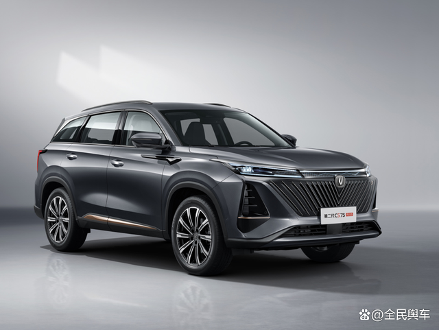 1月SUV销量榜:Model Y排第六位,比亚迪元PLUS增幅最大?-