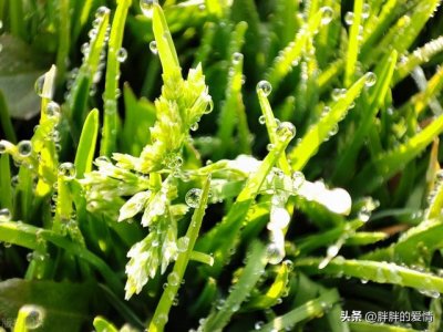 ​人生就是一张有去无回的单程车票（人生是一张单程车票）