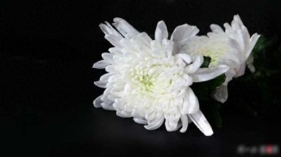 ​98岁历史学家戴逸辞世，毕生精力贡献给清史