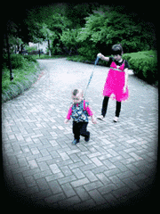 江苏车牌按什么顺序来的（江苏车牌归属地）(4)