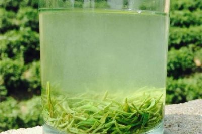 ​信阳毛尖和都匀毛尖哪个好 信阳毛尖属于什么档次